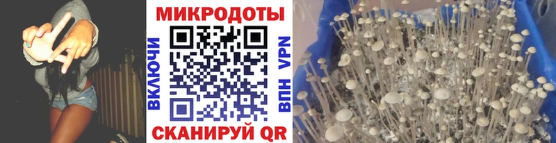 Псилоцибиновые грибы мухоморы  наркотики  Шагонар 